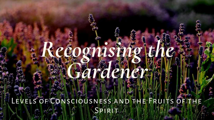Recognising the Gardener - WCCM+
