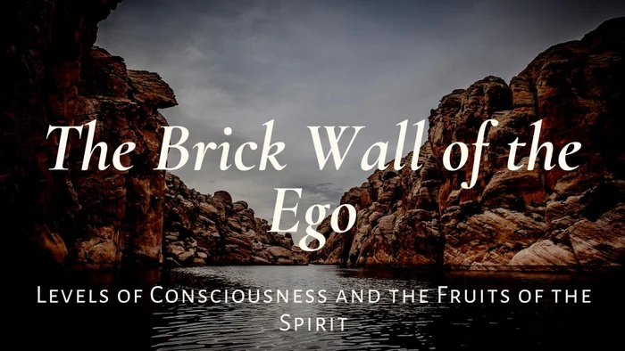 The Brick Wall of the Ego - WCCM+