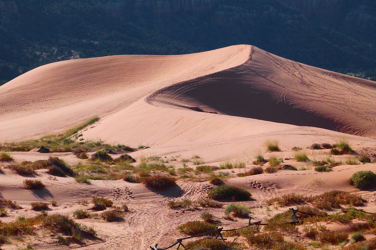 desert & dunes